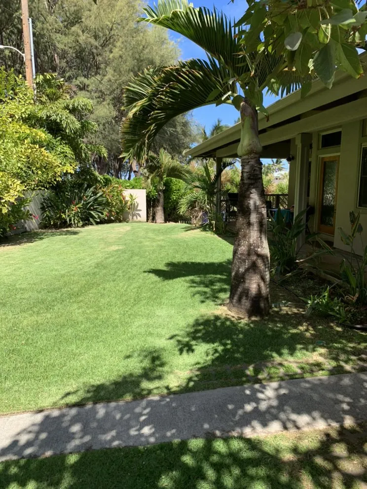 Expert lawn care service in Kailua, HI - Prosperity