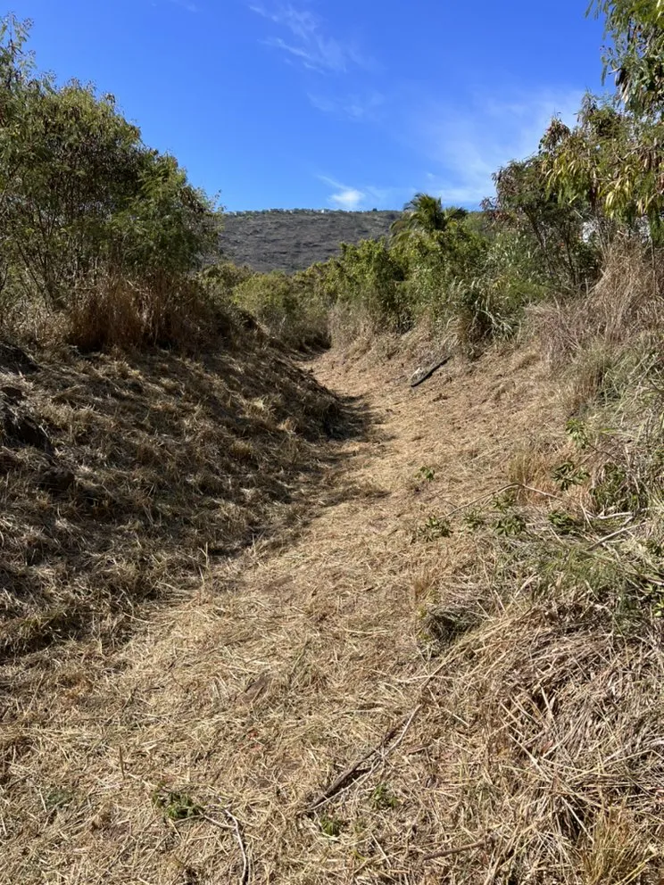 Custom lawn mowing service in Kailua, HI by Prosperity