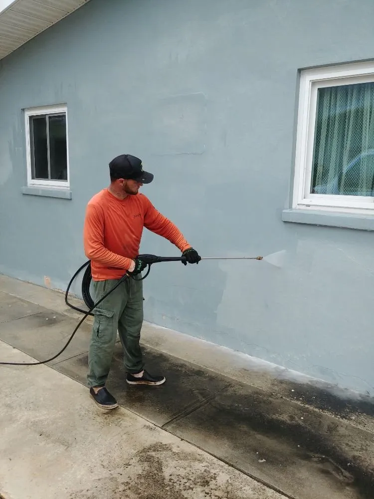 Affordable lawn care service experts serving Cape Coral, FL - Prosperous Landscape & Home Maintenance