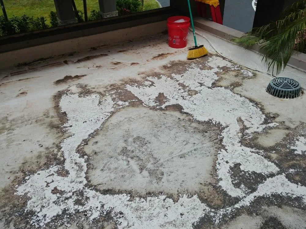 Affordable lawn mowing service in Cape Coral, FL - Prosperous Landscape & Home Maintenance