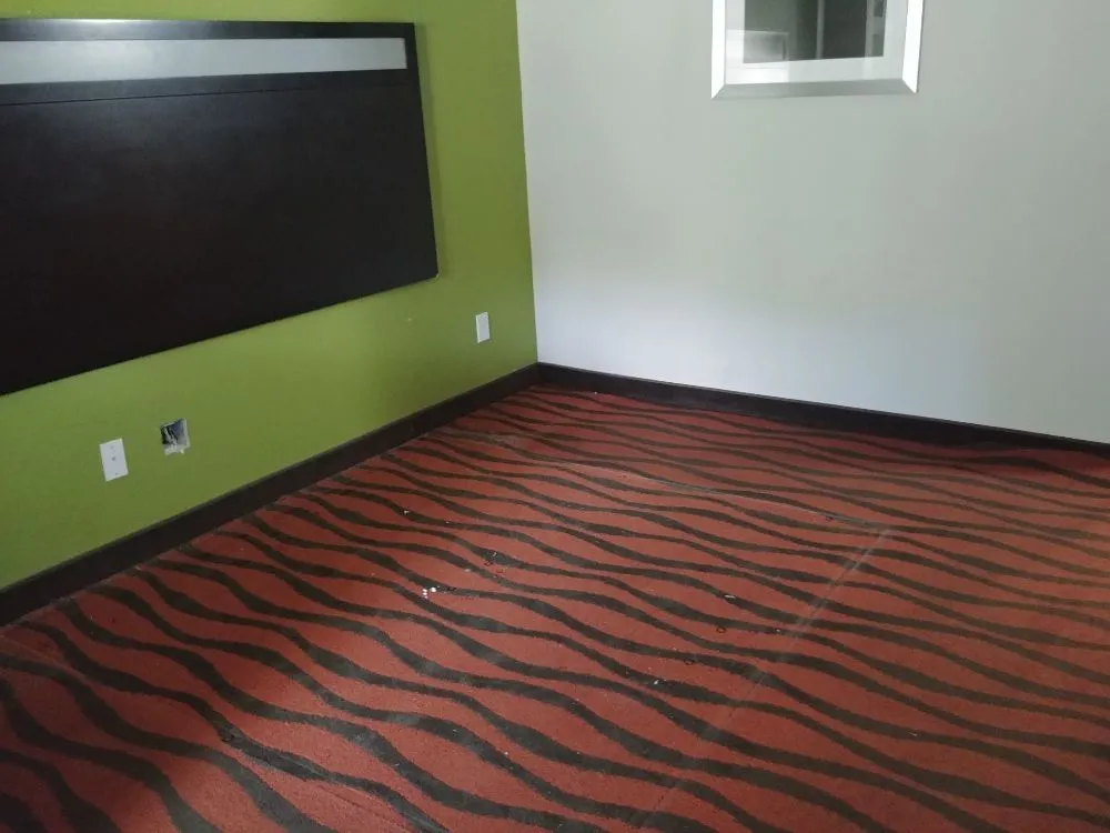 Expert lawn care service in Cape Coral, FL - Prosperous Landscape & Home Maintenance