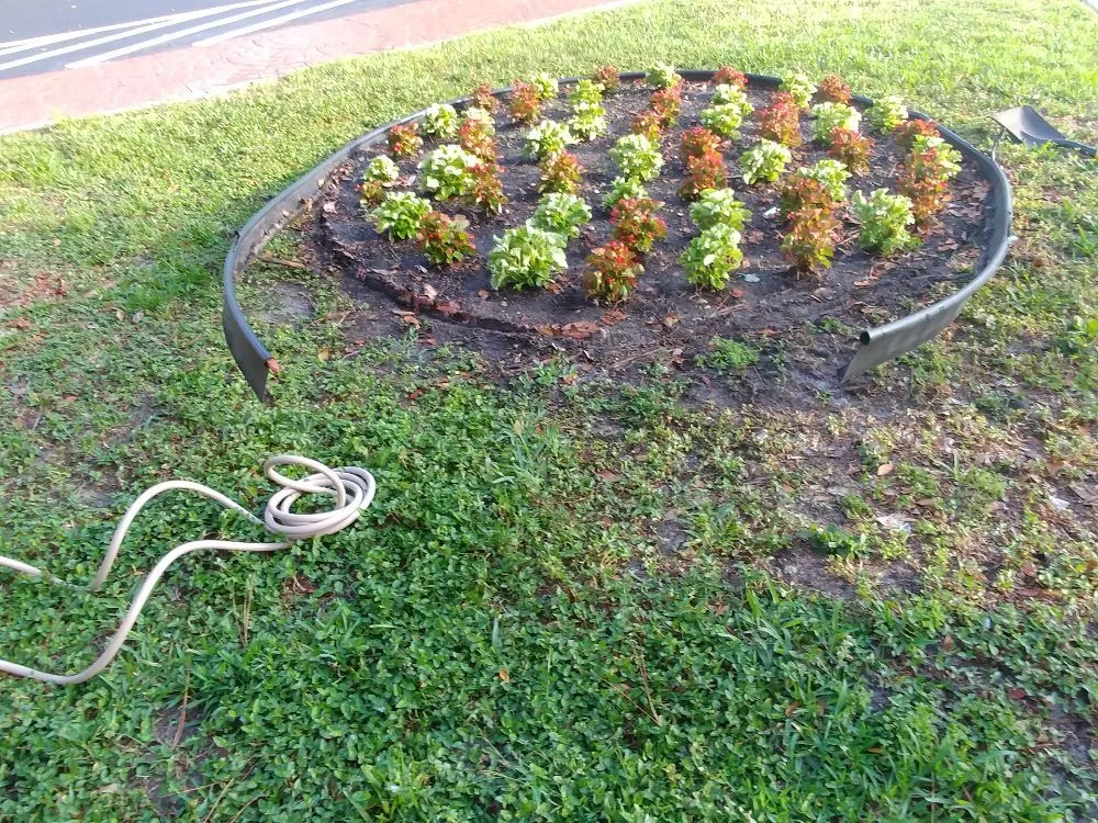 Trusted residential landscaping for homes in Cape Coral, FL by Prosperous Landscape & Home Maintenance