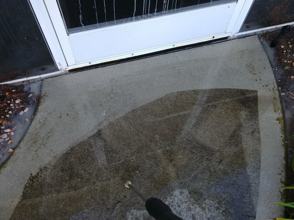 Local landscape design in Cape Coral, FL by Prosperous Landscape & Home Maintenance