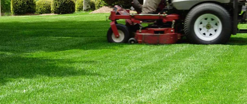 Trusted garden landscaping in Carrollton, VA by Prosperous Lawns