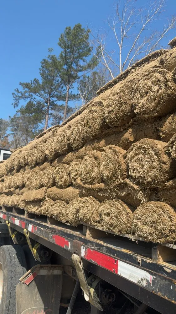 Top-rated lawn care service for outdoor upgrades across Rocky Mount, NC - Prospray Solutions