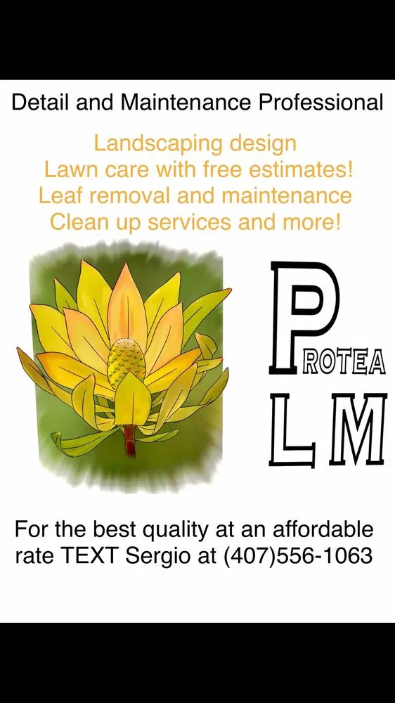 Affordable lawn mowing service with custom design across Orlando, FL - Protea Landscape and Maintenance