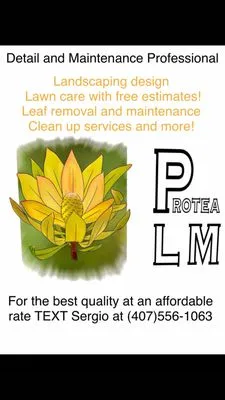 Protea Landscape and Maintenance Logo