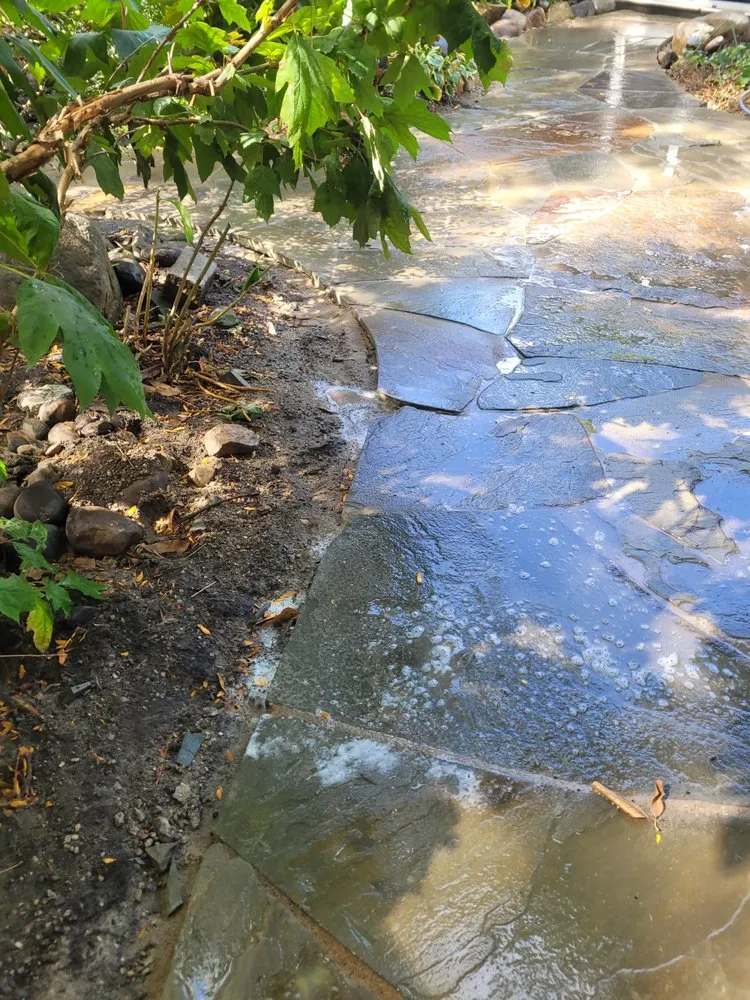 Professional landscape design experts serving Royal Oak, MI - Protean Landscape