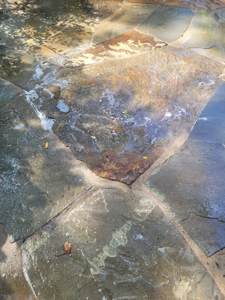 Affordable landscape installation experts serving Royal Oak, MI - Protean Landscape