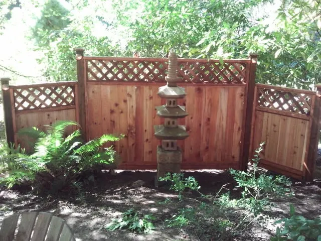 Local yard cleanup service in Everett, WA - ProTech General Contractor