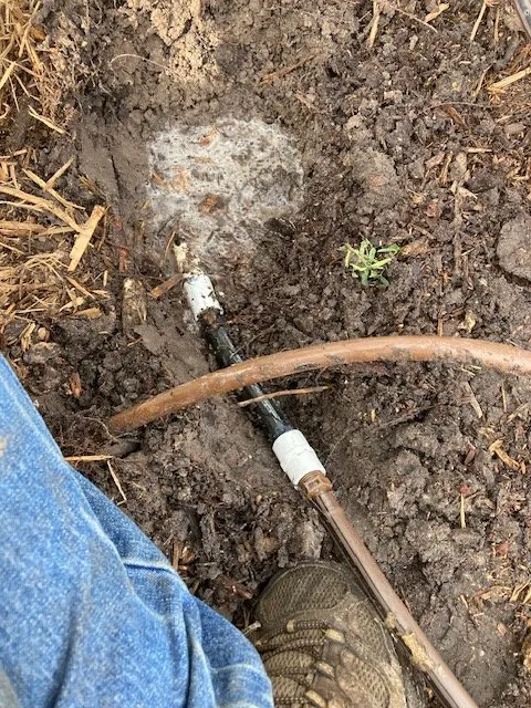 Professional lawn care service for residential properties across DeLand, FL - Protech Landscape Solutions