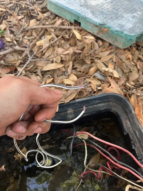 Custom lawn care service for beautiful yards in DeLand, FL by Protech Landscape Solutions