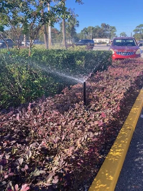 Expert landscape installation in DeLand, FL - Protech Landscape Solutions