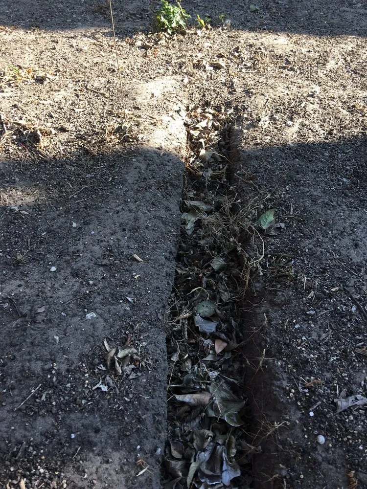 Custom outdoor landscaping in Portland, TX by ProTech Landscaping