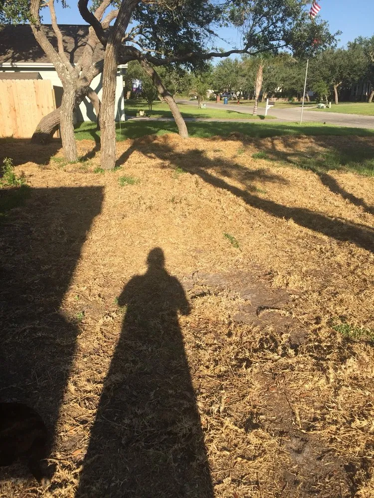 Expert yard maintenance in Portland, TX by ProTech Landscaping