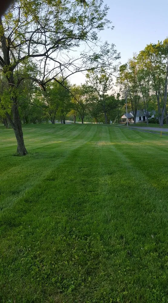Professional landscaping services for beautiful yards across Wooster, OH - ProTech Lawn Care