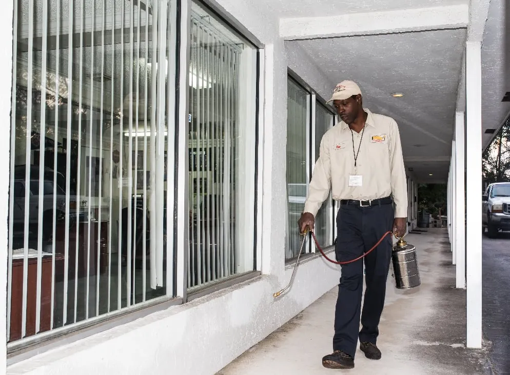 Reliable landscape installation for year-round maintenance across West Palm Beach, FL - Protective Pest Control