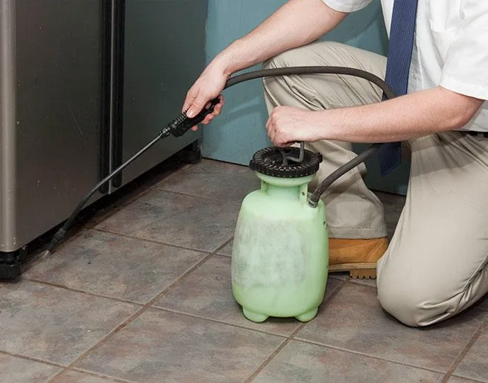 Trusted yard maintenance experts serving West Palm Beach, FL - Protective Pest Control