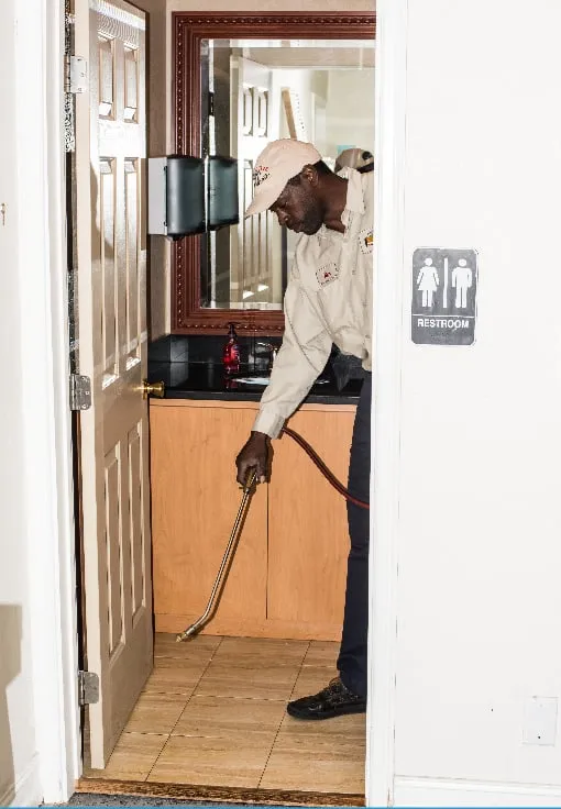 Local yard cleanup service in West Palm Beach, FL - Protective Pest Control