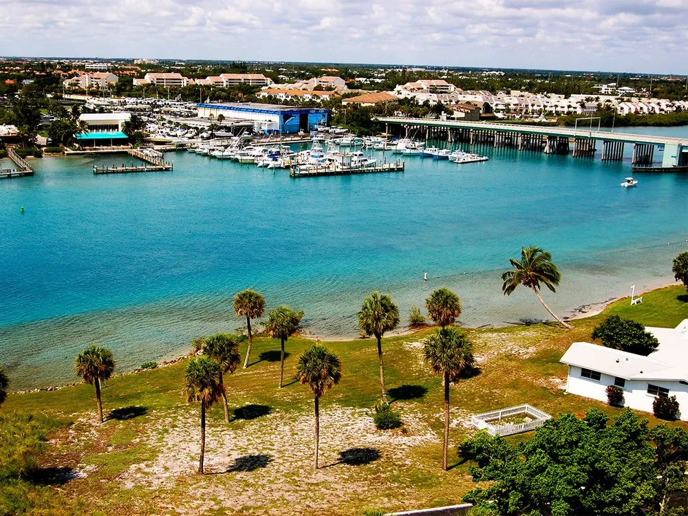 Expert yard maintenance experts serving West Palm Beach, FL - Protective Pest Control