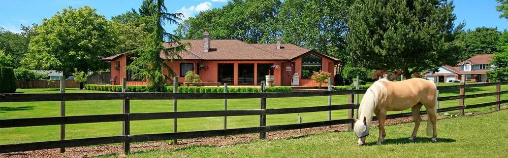 Top-rated yard maintenance in West Palm Beach, FL - Protective Pest Control