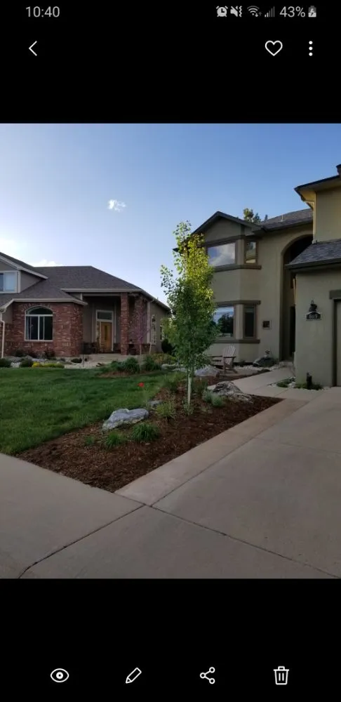 Local yard cleanup service for residential properties in Denver, CO by Proterra Landscapes