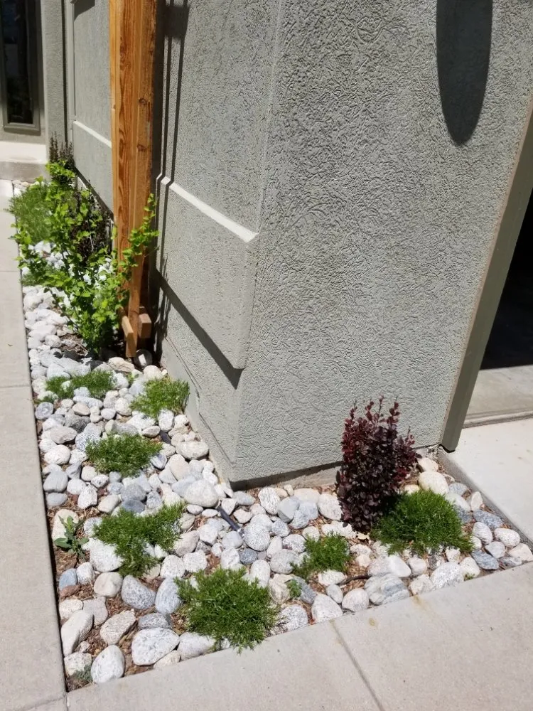 Custom garden landscaping in Denver, CO by Proterra Landscapes