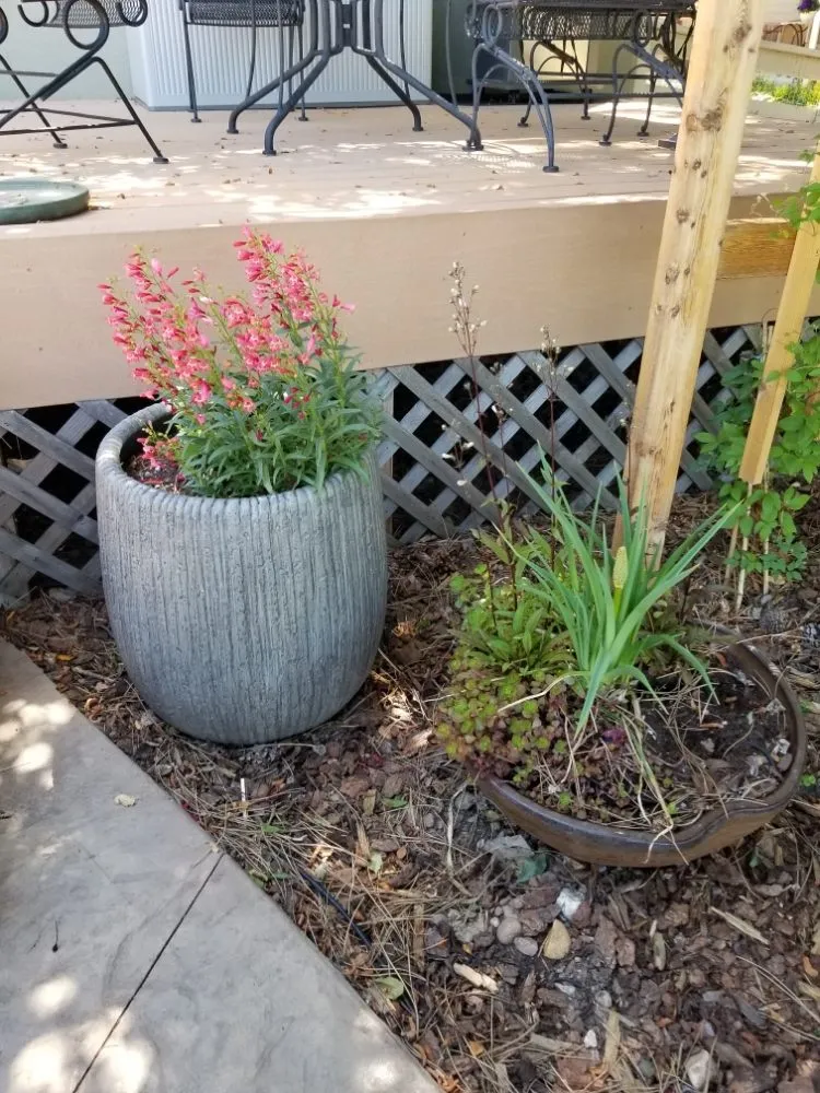 Custom landscape installation experts serving Denver, CO - Proterra Landscapes