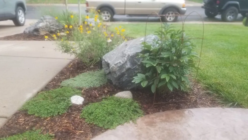 Affordable yard maintenance in Denver, CO - Proterra Landscapes