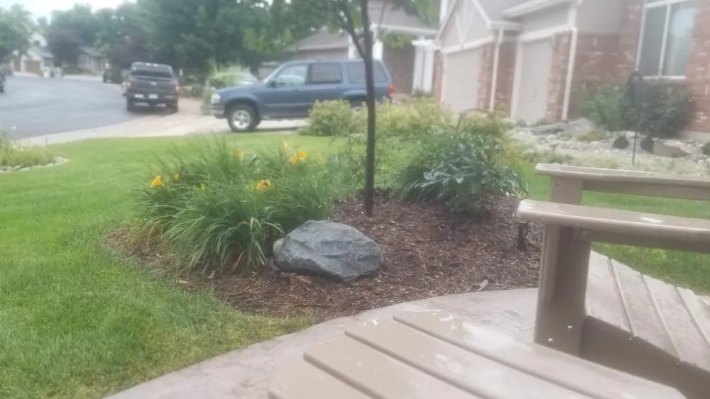 Custom outdoor landscaping in Denver, CO by Proterra Landscapes