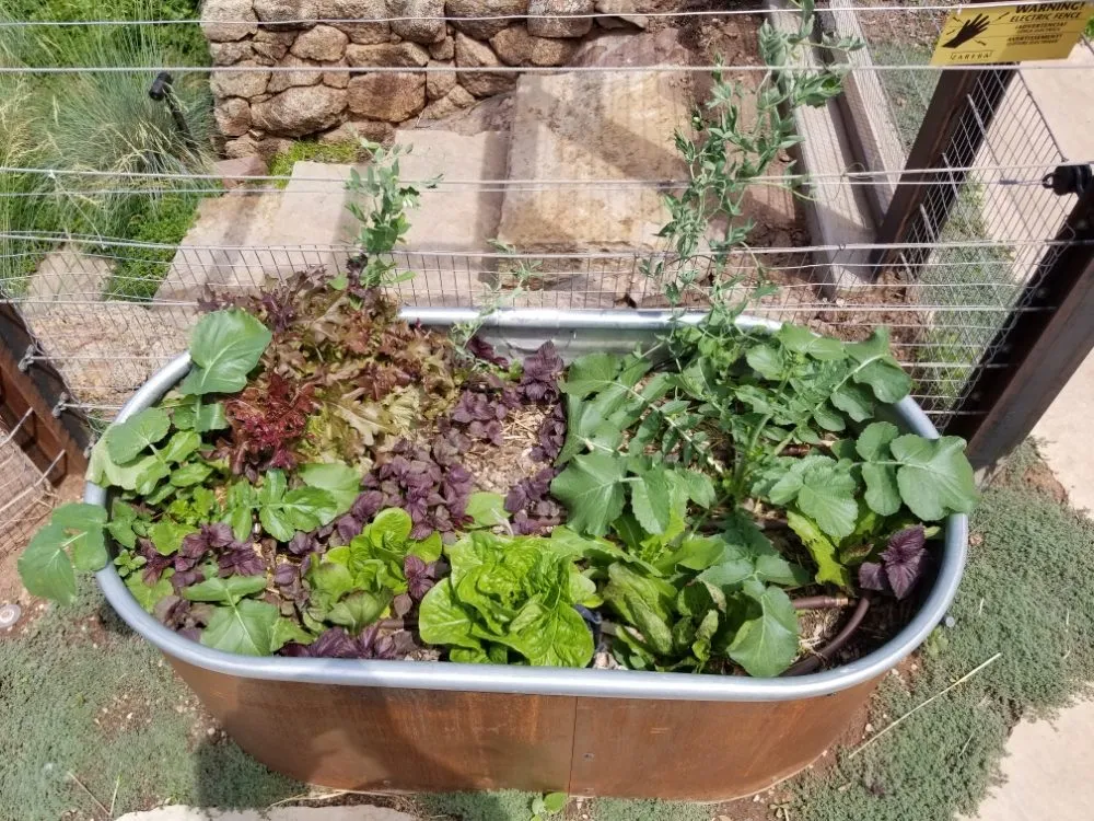 Affordable residential landscaping experts serving Denver, CO - Proterra Landscapes