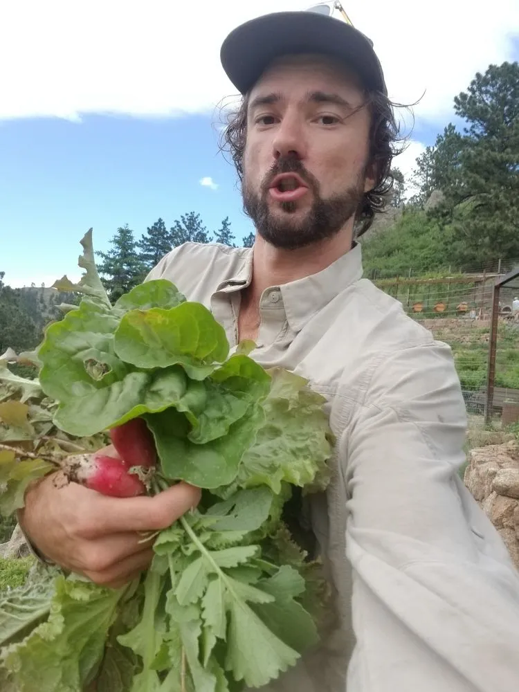 Trusted lawn mowing service for outdoor upgrades in Denver, CO by Proterra Landscapes