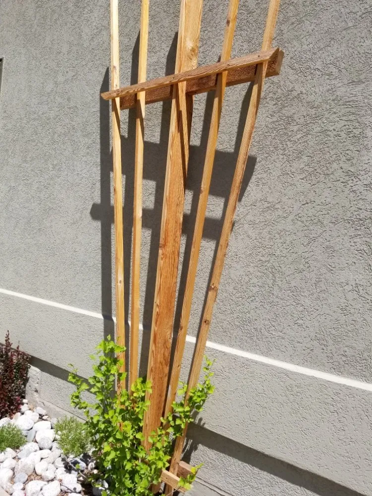 Custom landscape design for year-round maintenance in Denver, CO by Proterra Landscapes