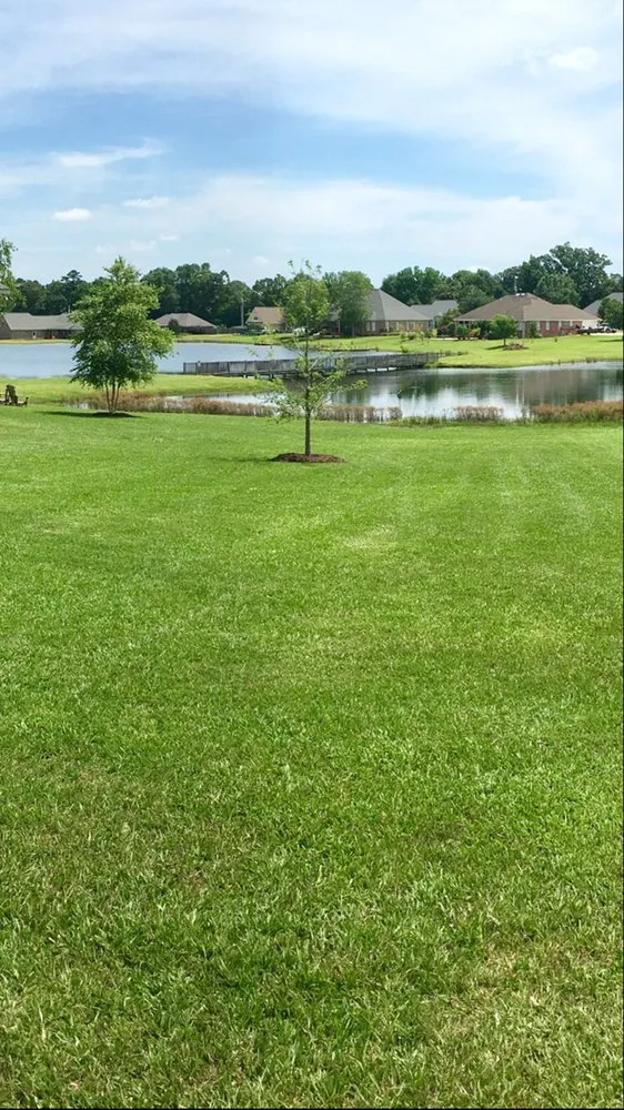 Expert landscaping services for homes in Clinton, MS by PROUD LAWN