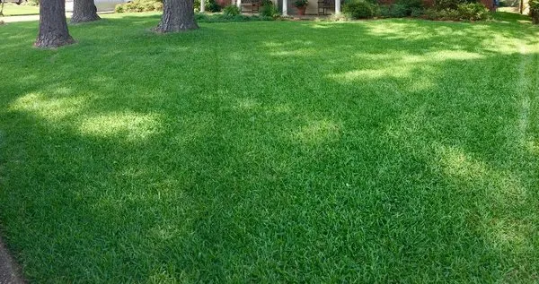 PROUD LAWN