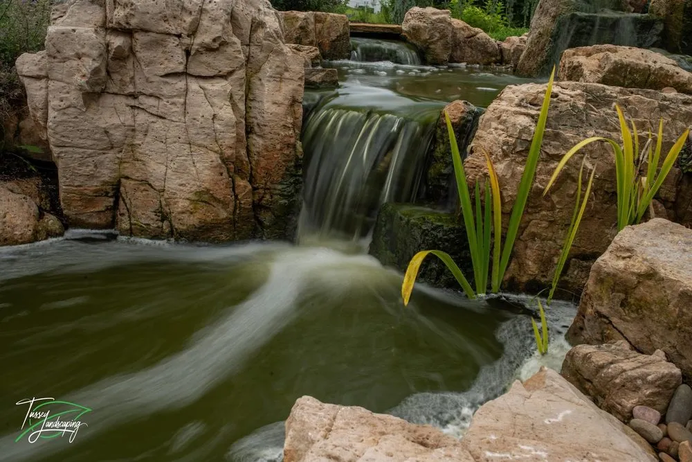 Top-rated yard maintenance for outdoor upgrades in Wauconda, IL by Proud Ponds
