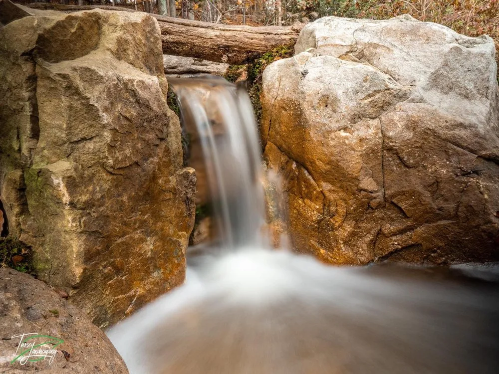 Expert lawn care service in Wauconda, IL by Proud Ponds