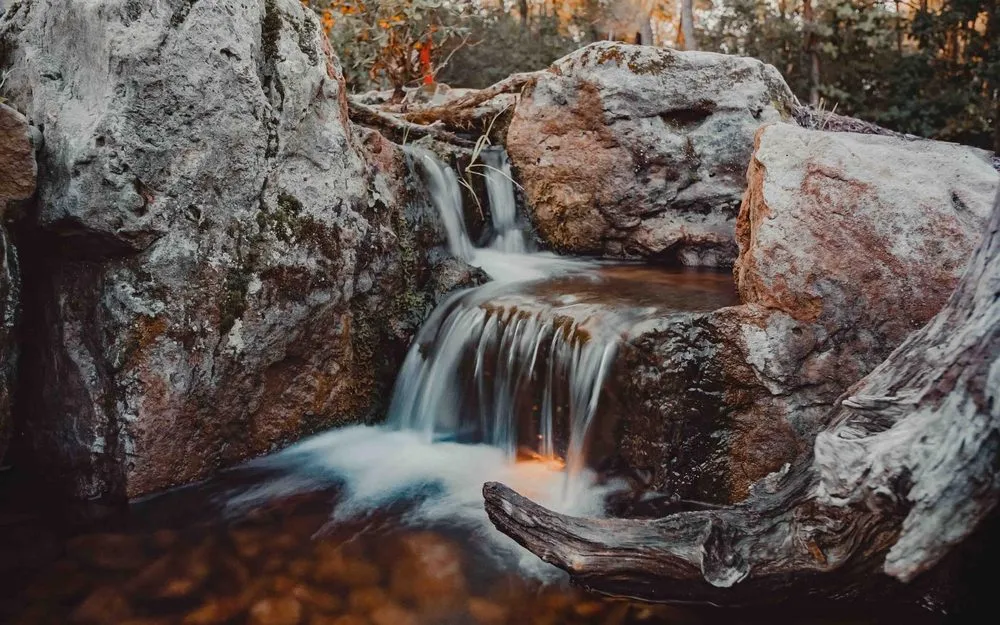 Expert lawn care service for homes in Wauconda, IL by Proud Ponds