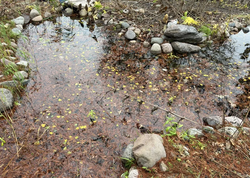 Professional landscape design for homes in Wauconda, IL by Proud Ponds