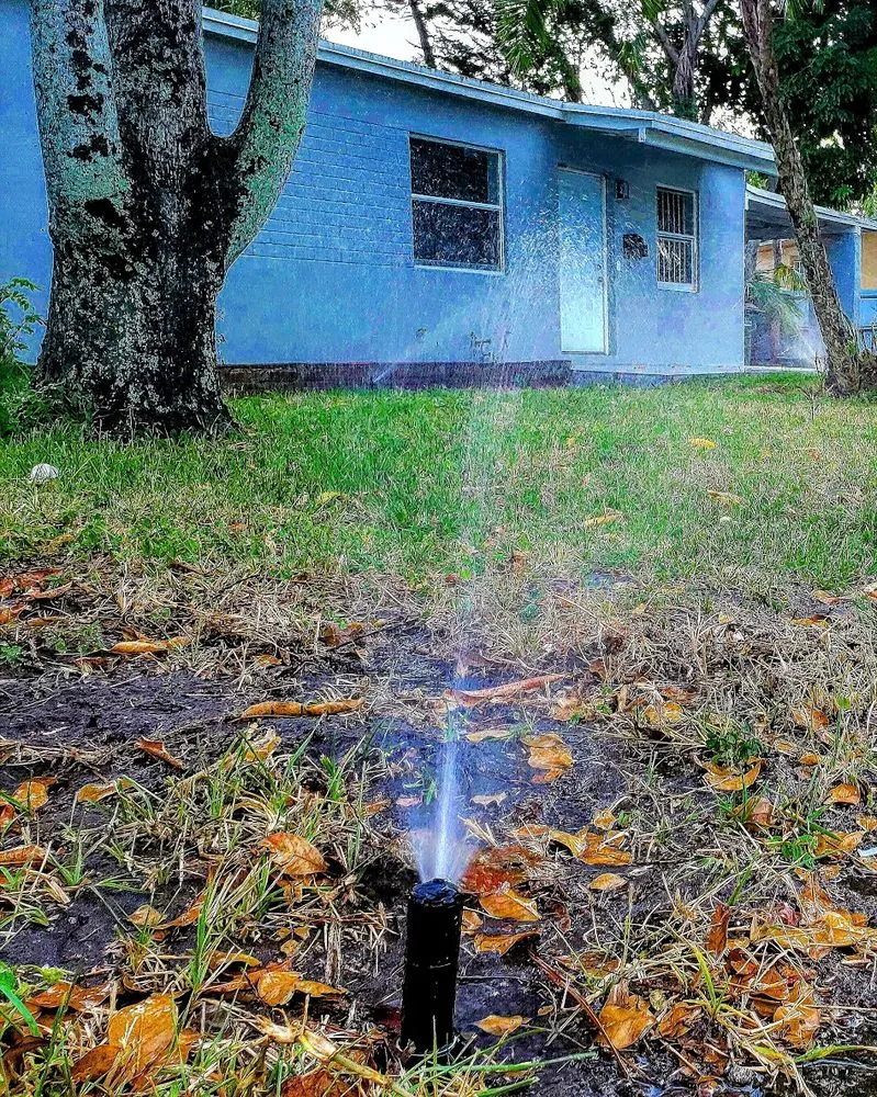 Custom yard cleanup service for outdoor upgrades across Miami, FL - Proud Property Services