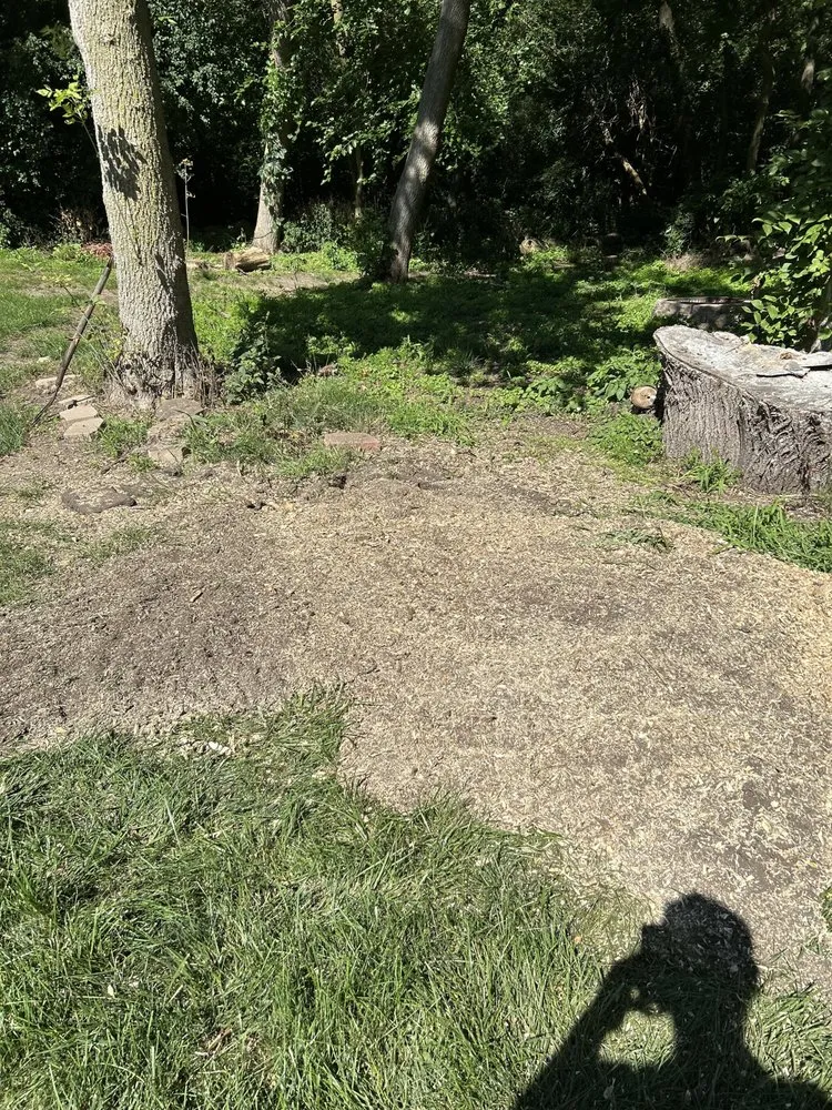 Trusted residential landscaping in Rockford, IL by Proven Services