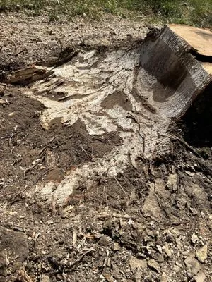 Proven Services Logo