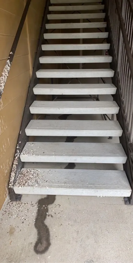 Expert landscape design for outdoor upgrades across Victoria, TX - Provide Services