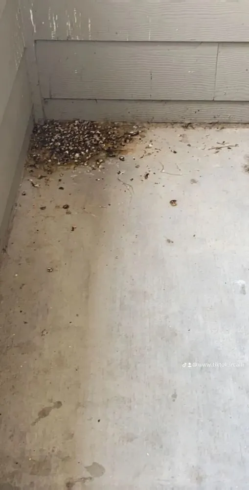 Trusted garden landscaping for year-round maintenance across Victoria, TX - Provide Services