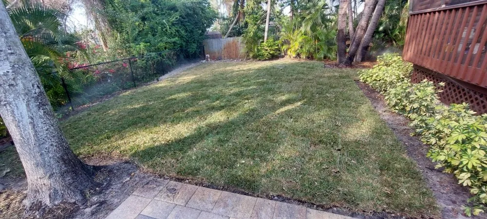 Reliable landscape design in Bonita Springs, FL - Providence Garden Landscaping