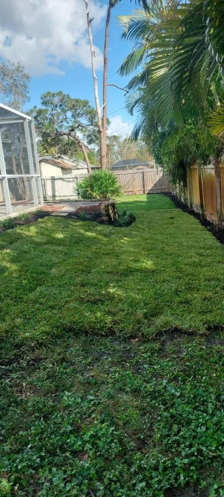 Top-rated lawn care service in Bonita Springs, FL - Providence Garden Landscaping