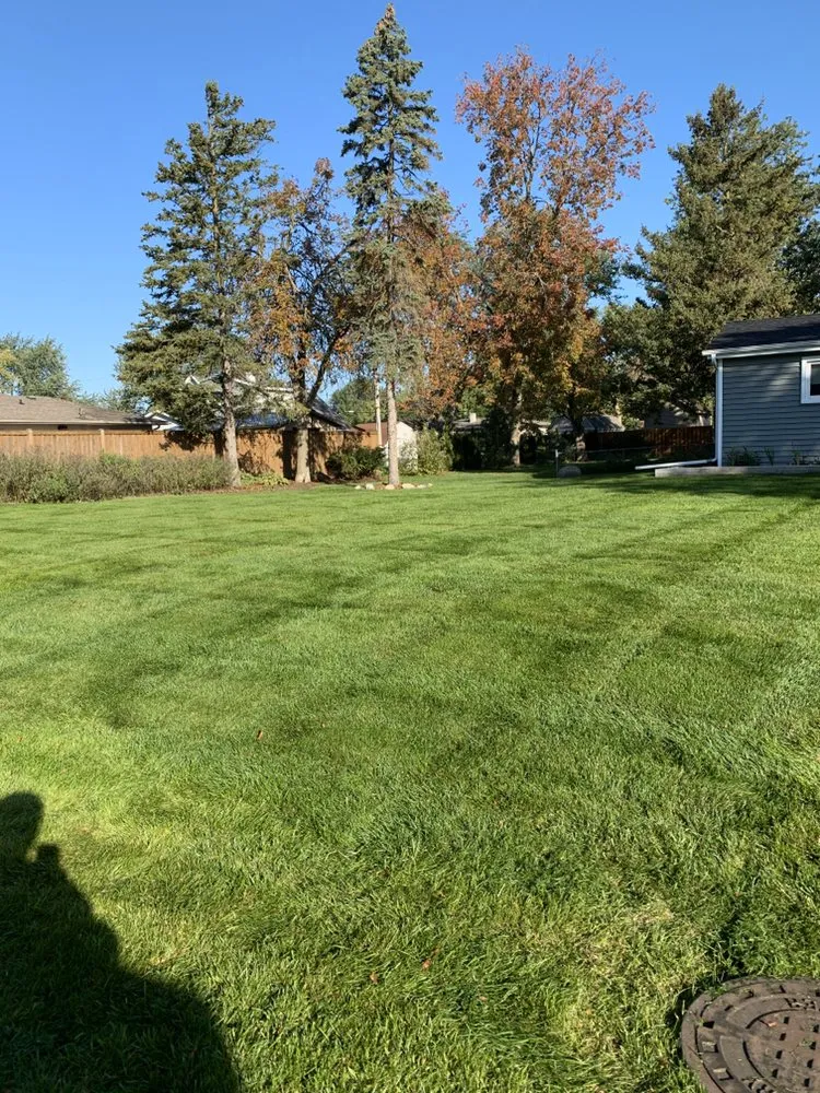 Professional yard maintenance experts serving Birmingham, AL - Providence Landscaping