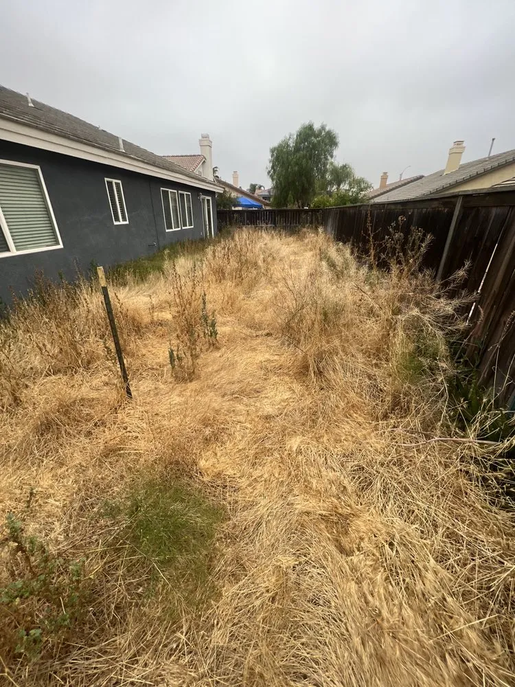 Expert yard maintenance with custom design in San Jacinto, CA by Providence Landscaping