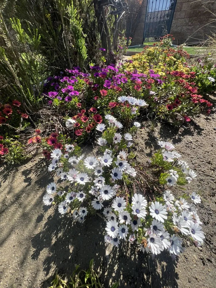 Reliable residential landscaping in San Jacinto, CA - Providence Landscaping