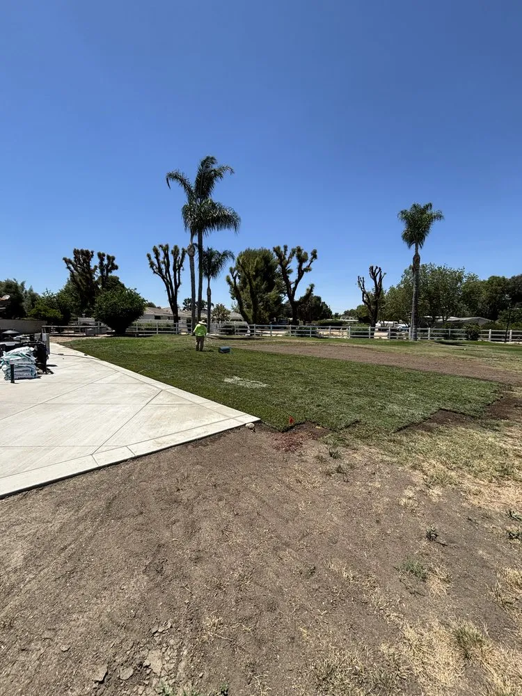 Professional residential landscaping experts serving San Jacinto, CA - Providence Landscaping